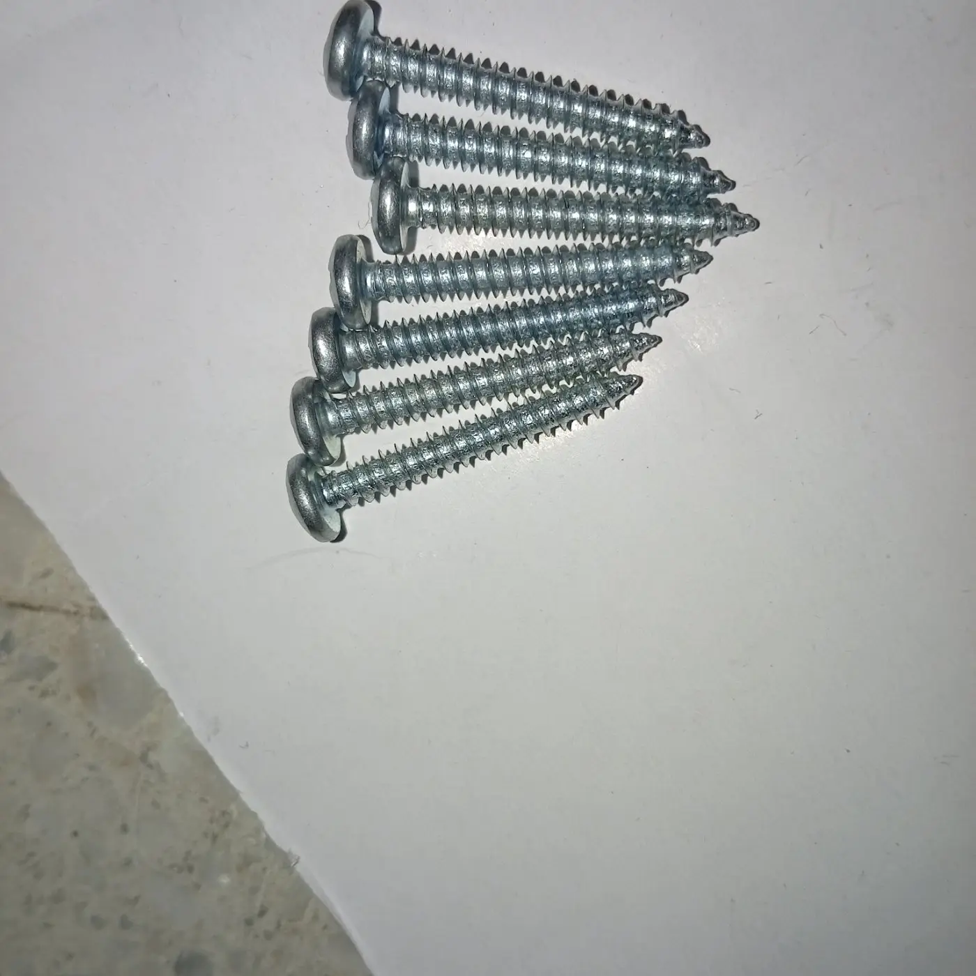Tornillo Autoroscante (para chazos)